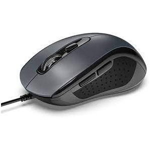 mouse